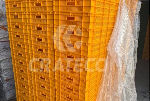 Packaging strategies for operational resilience using plastic crates and pallets in UAE