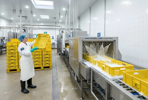 Plastic crate sanitization guide for food-grade operations and contamination prevention in UAE