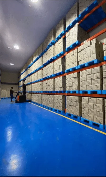 High-Quality Plastic Pallets Designed for Efficient Racking and Storage